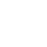 SPEED